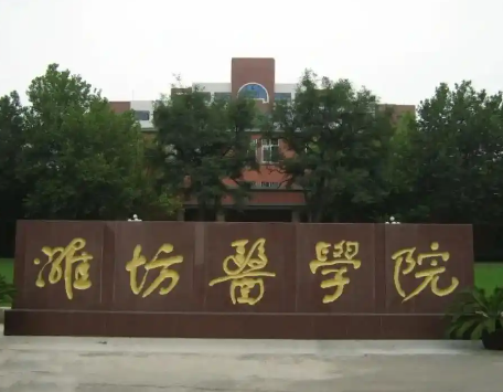 1737081516583.png