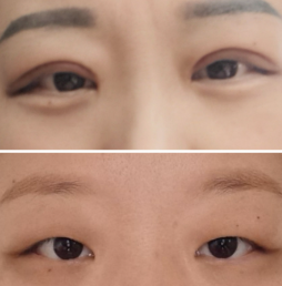 1743061593031.png 1743061593031.png