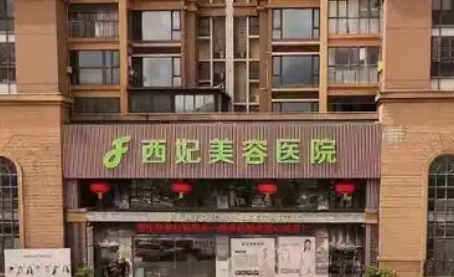 东莞西妃.png